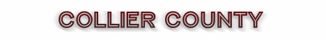 collier county florida fire, fire departments in florida county, florida county fl fire stations, volunteer fire department, collier county florida, collier county fire station numbers, collier county fire jobs, collier county live dispatch, collier county fire departments, collier county ems, collier county ambulance, collier county florida firefighters