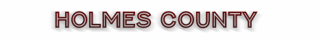 holmes county florida fire, fire departments in florida county, florida county fl fire stations, volunteer fire department, holmes county florida, holmes county fire station numbers, holmes county fire jobs, holmes county live dispatch, holmes county fire departments, holmes county ems, holmes county ambulance, holmes county florida firefighters