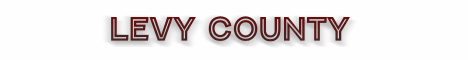 levy county florida fire, fire departments in florida county, florida county fl fire stations, volunteer fire department, levy county florida, levy county fire station numbers, levy county fire jobs, levy county live dispatch, levy county fire departments, levy county ems, levy county ambulance, levy county florida firefighters