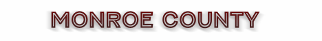 monroe county florida fire, fire departments in florida county, florida county fl fire stations, volunteer fire department, monroe county florida, monroe county fire station numbers, monroe county fire jobs, monroe county live dispatch, monroe county fire departments, monroe county ems, monroe county ambulance, monroe county florida firefighters
