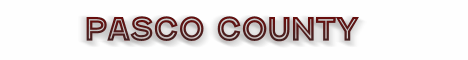 pasco county florida fire, fire departments in florida county, florida county fl fire stations, volunteer fire department, pasco county florida, pasco county fire station numbers, pasco county fire jobs, pasco county live dispatch, pasco county fire departments, pasco county ems, pasco county ambulance, pasco county florida firefighters