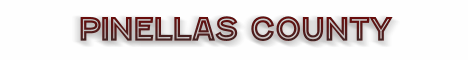 pinellas county florida fire, fire departments in florida county, florida county fl fire stations, volunteer fire department, pinellas county florida, pinellas county fire station numbers, pinellas county fire jobs, pinellas county live dispatch, pinellas county fire departments, pinellas county ems, pinellas county ambulance, pinellas county florida firefighters
