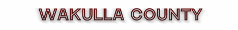 wakulla county florida fire, fire departments in florida county, florida county fl fire stations, volunteer fire department, wakulla county florida, wakulla county fire station numbers, wakulla county fire jobs, wakulla county live dispatch, wakulla county fire departments, wakulla county ems, wakulla county ambulance, wakulla county florida firefighters