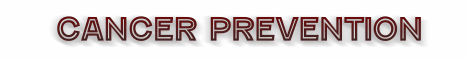 firefighter florida, cancer prevention, lower the risk of firefighter cancer, firefighter cancer prevention, reducing the risks of firefighter cancer, florida firefighters, florida firefighter cancer, lowering firefighter cancer risks