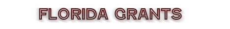 fema grant, assistance to firefighters grants, florida, safer grant, staffing for adequate fire & emergency response grant, florida grants