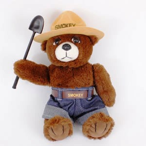 fl fire departments, florida wildfires, fl wild fires, florida fire departments, florida firefighters, florida fire source, florida land burning, wildfire preparedness, protect your home, wildland urban interface, prevent wildfires