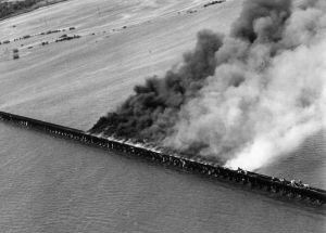 photo by Tampa Bay Times