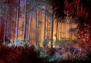 photo by Cedar Key Fire Rescue