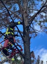 photo by Clearwater Fire Rescue Department