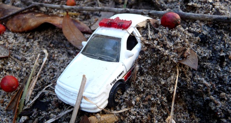 photo by Dara Barfield