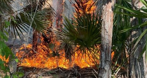 photo by Daytona Beach Fire Department