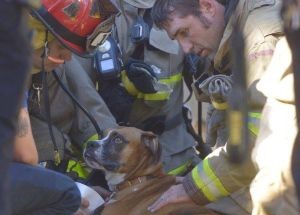 photo by Escambia County Fire Rescue