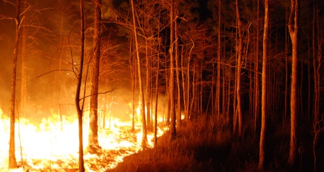 photo by Josh O'Connor USFWS