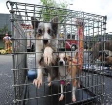 photo by Brett LeBlanc