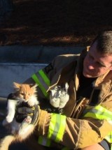 photo by City of Gainesville