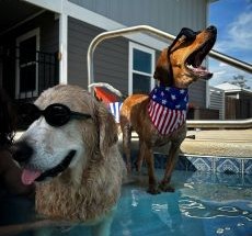 photo by Gulf County Beaches VFD