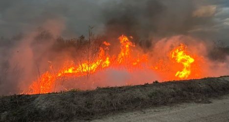photo by Hardee County Fire Rescue