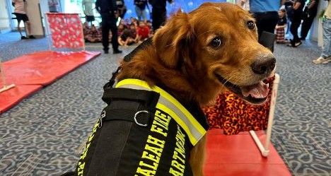 photo by Hialeah Fire Department