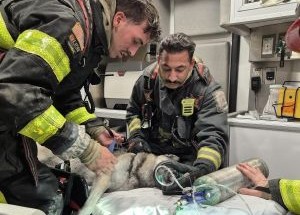 photo by Hialeah Fire Department