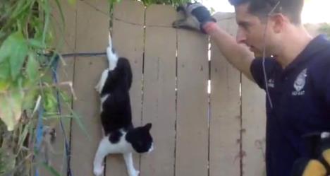 photo by NBC Miami TV 6