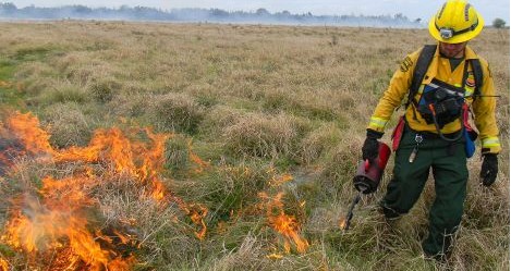 photo by Highlands County Fire Rescue