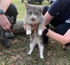 photo by Jefferson County Fire Rescue