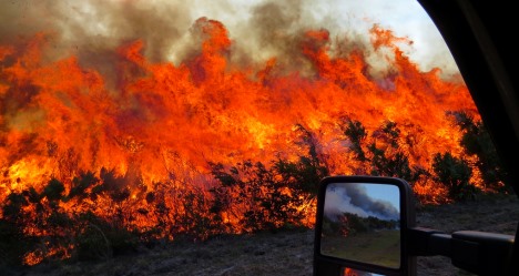 photo by Michael Good USFWS
