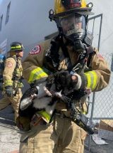 photo by Miami Fire Rescue