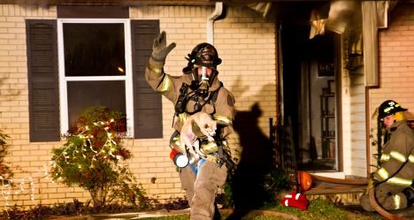 photo by Kenny Alexander