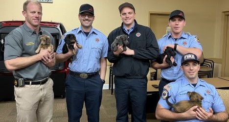 photo by Pinellas Park Fire Department