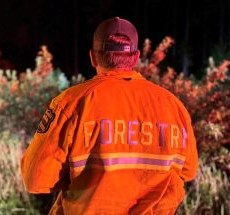 photo by Tampa Fire Rescue