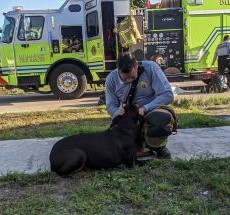 photo by Miami-Dade Fire Rescue