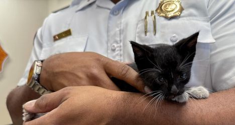 photo by Miami-Dade Fire Rescue